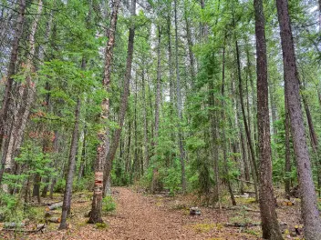 Ellen K Wookey Instagram