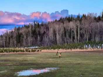 Ellen K Wookey Instagram