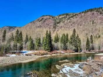 Ellen K Wookey Instagram