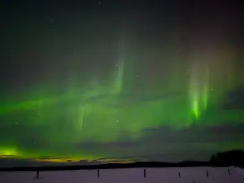 Ellen K Wookey Instagram