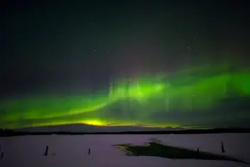 Ellen K Wookey Instagram