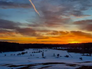 Ellen K Wookey Instagram