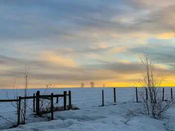 Ellen K Wookey Instagram