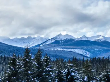 Ellen K Wookey Instagram