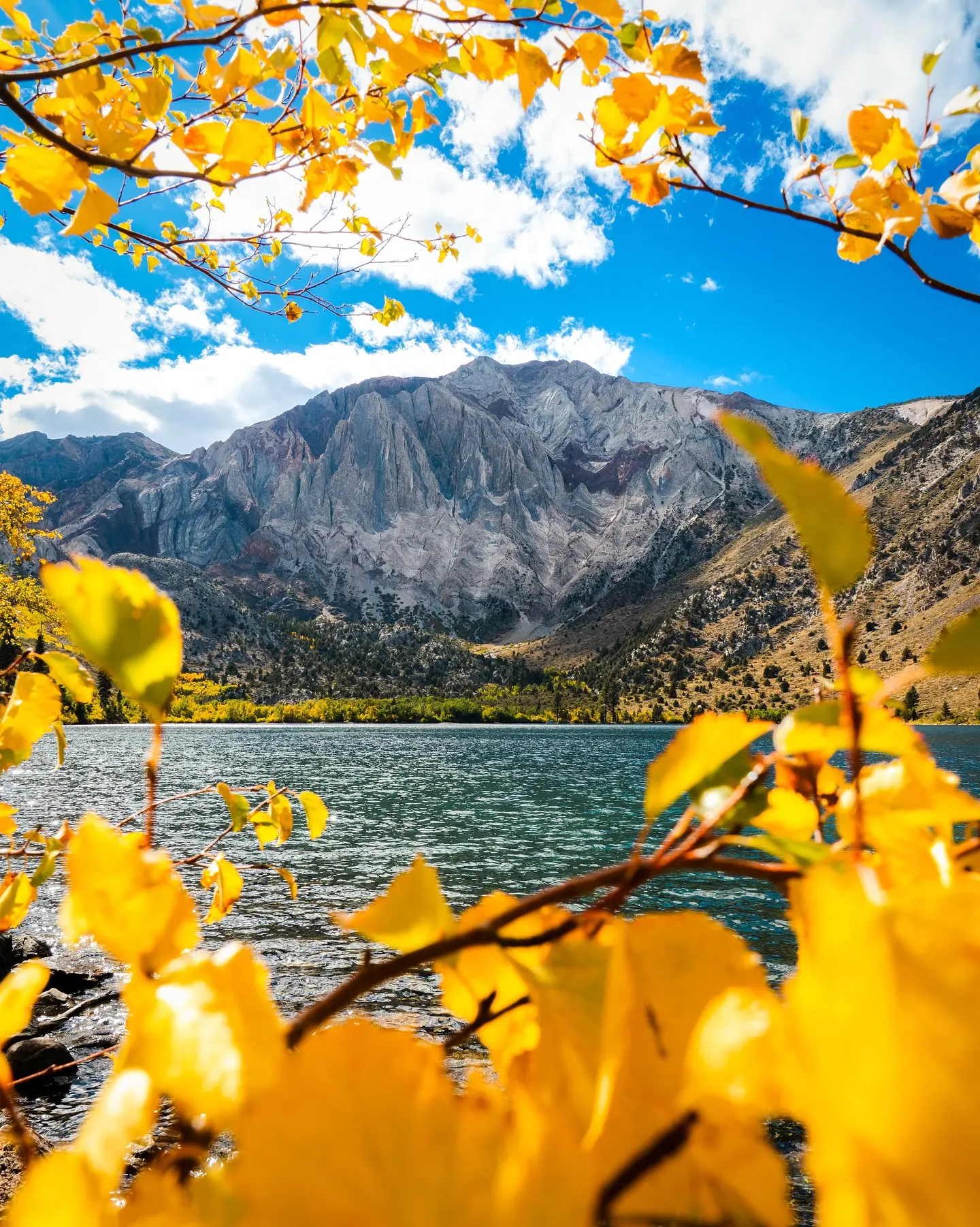 Mindy Michaels Instagram