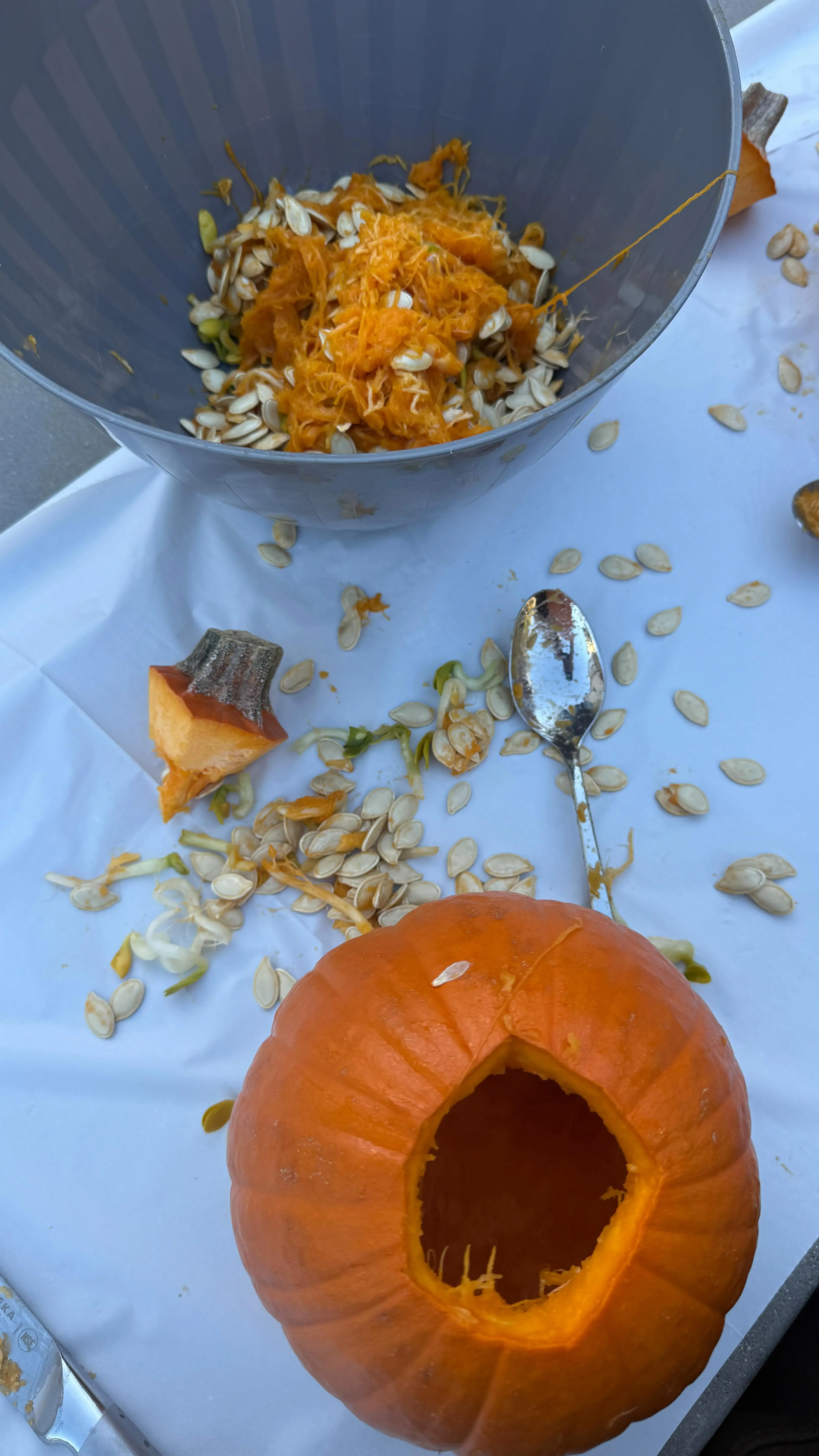 Symonne Harrison Instagram