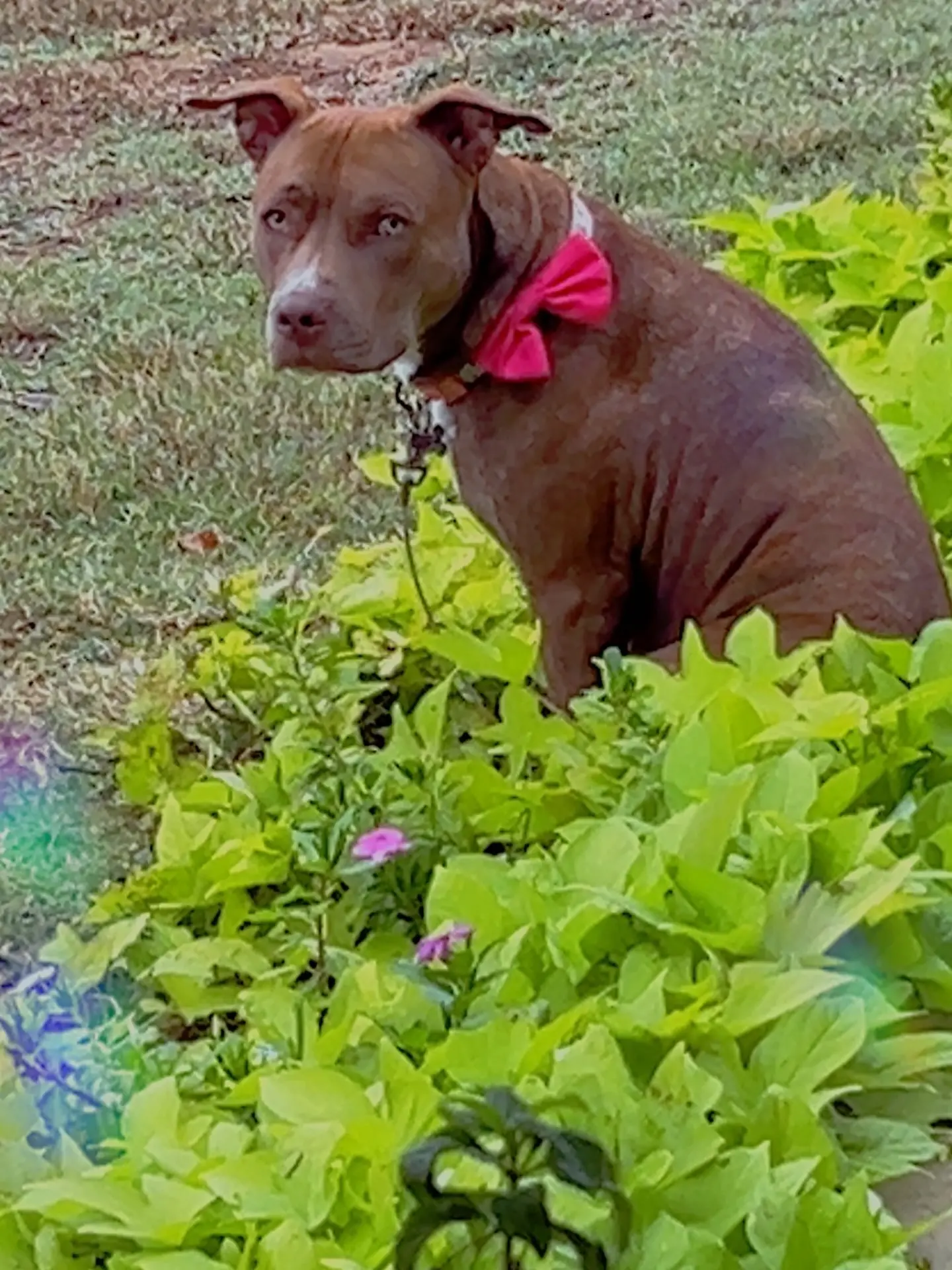 Destiny Crawford Instagram