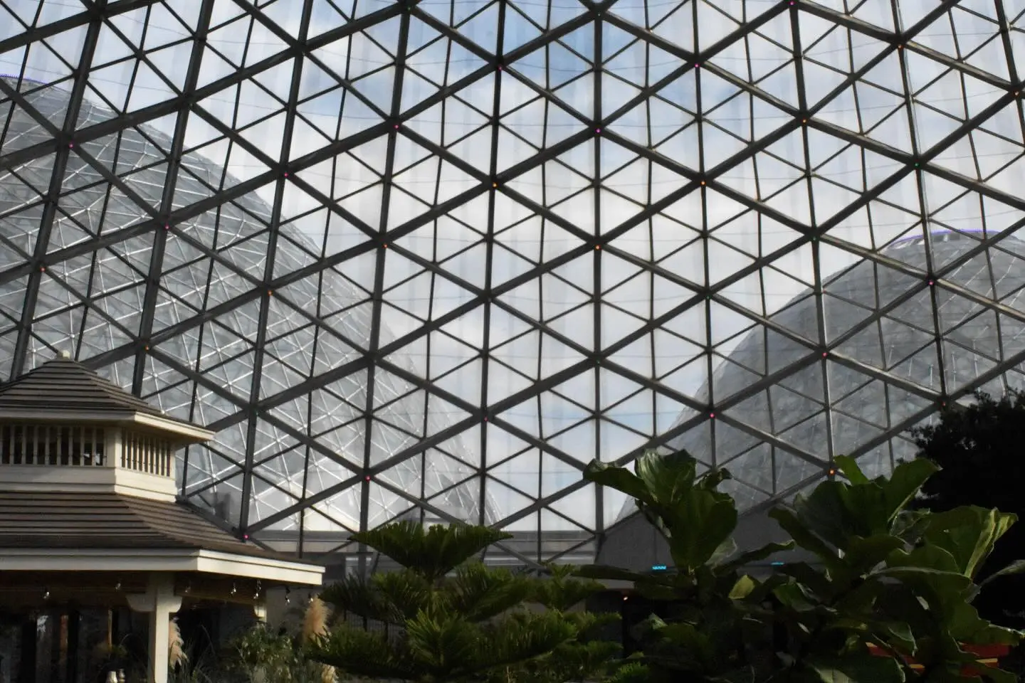 Yoshi white Instagram