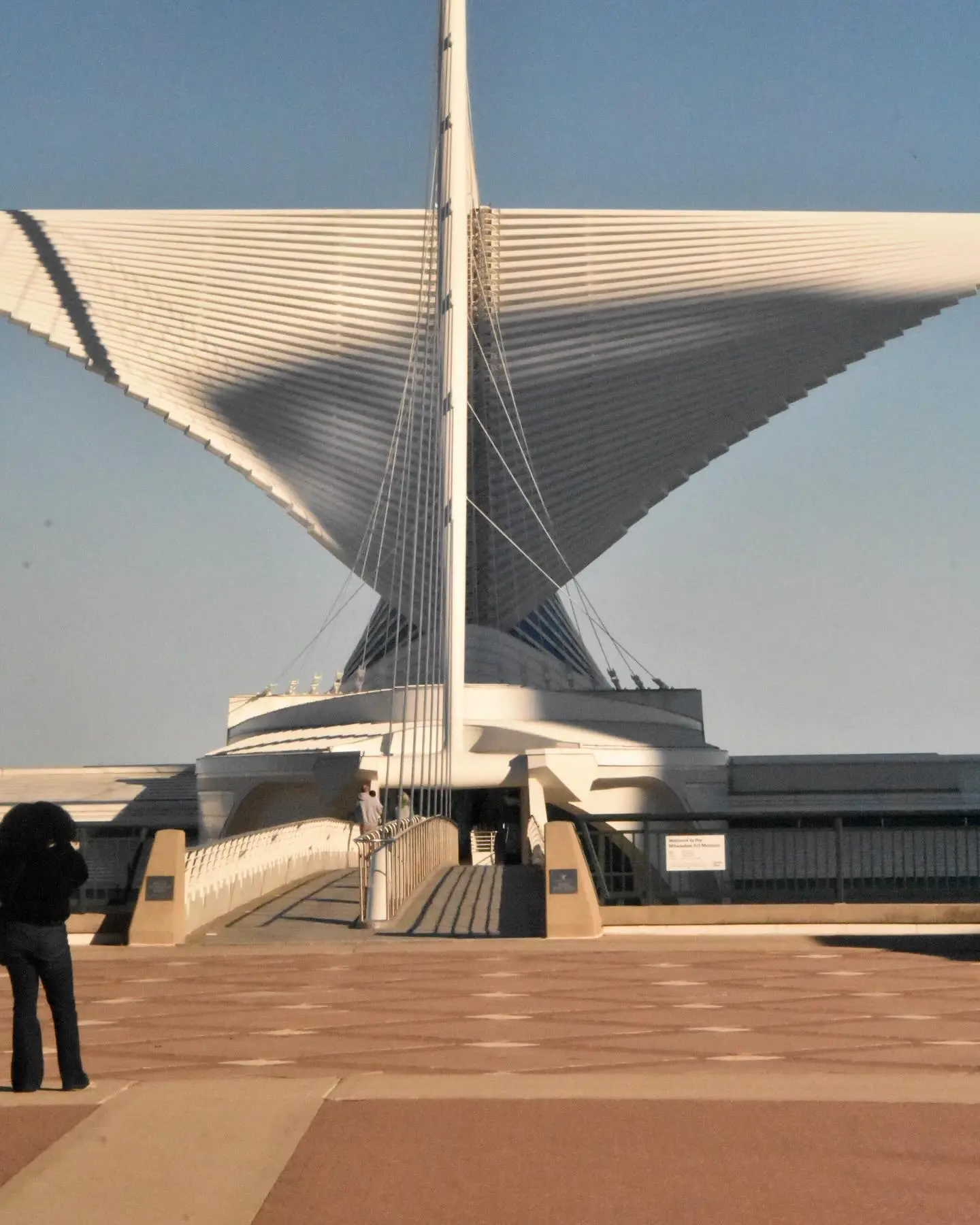 Yoshi white Instagram