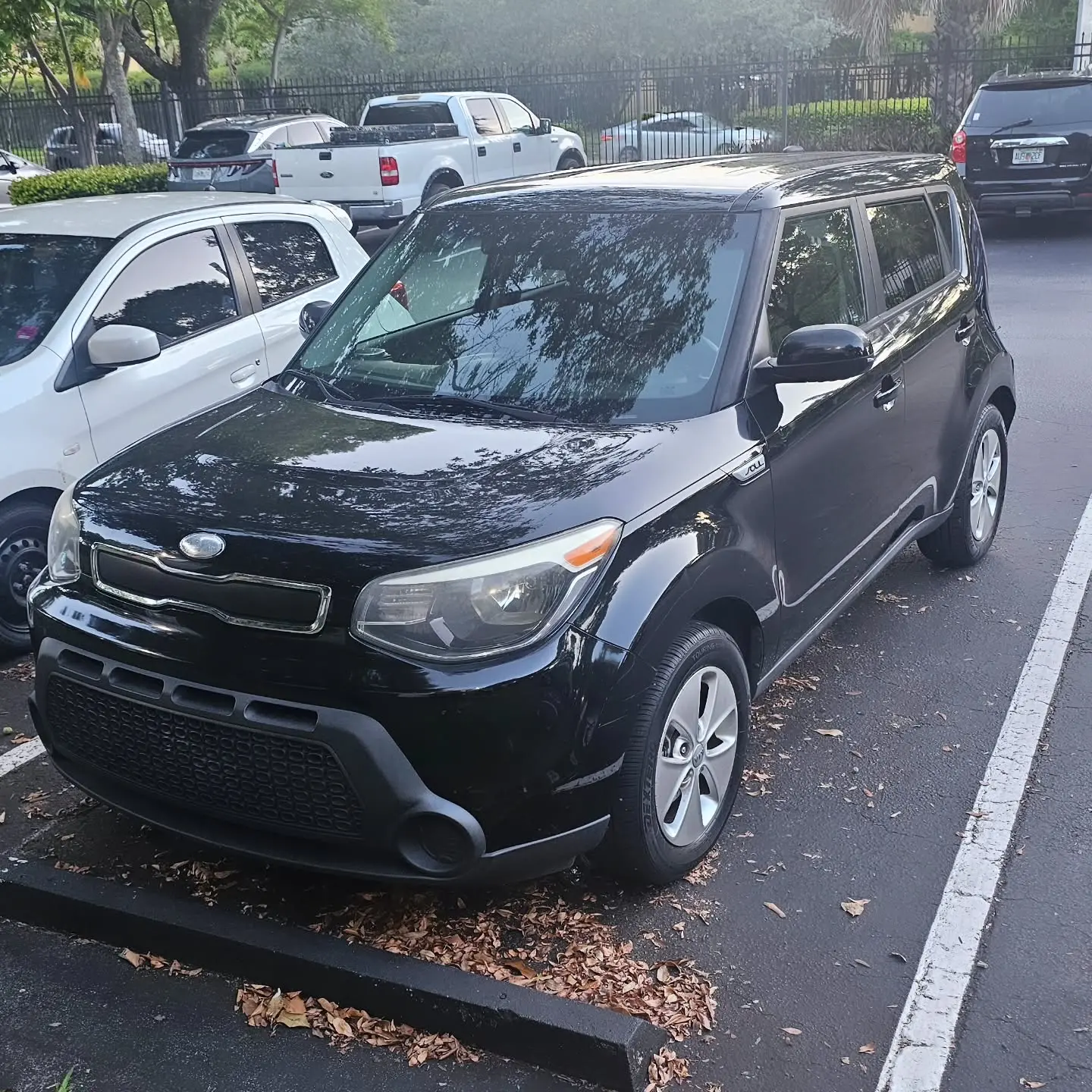 Yoshi white Instagram