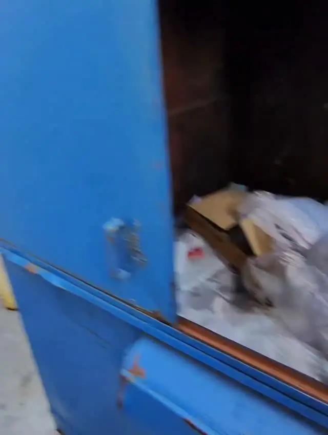 dumpsterdivingmama Instagram