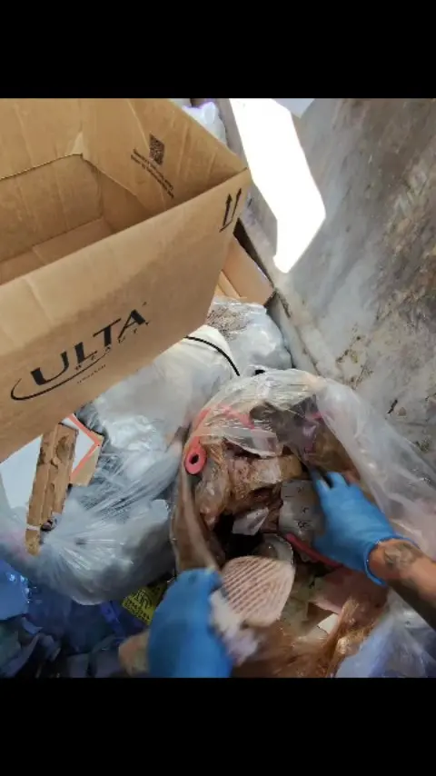dumpsterdivingmama Instagram