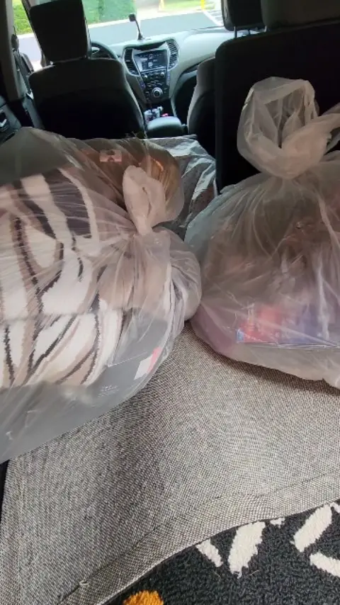 dumpsterdivingmama Instagram