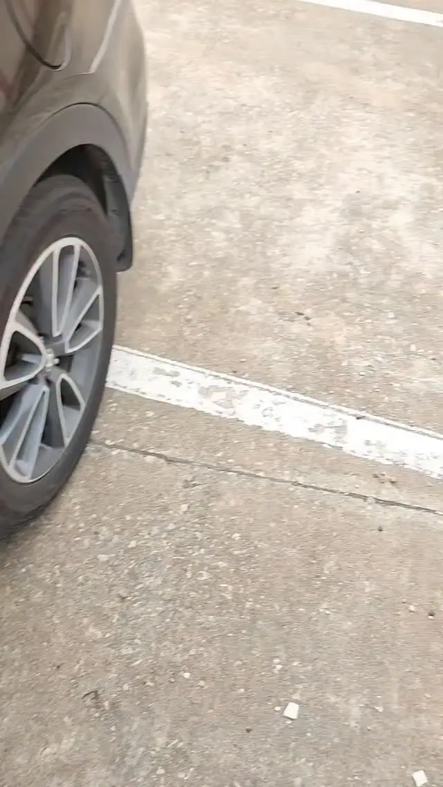 dumpsterdivingmama Instagram