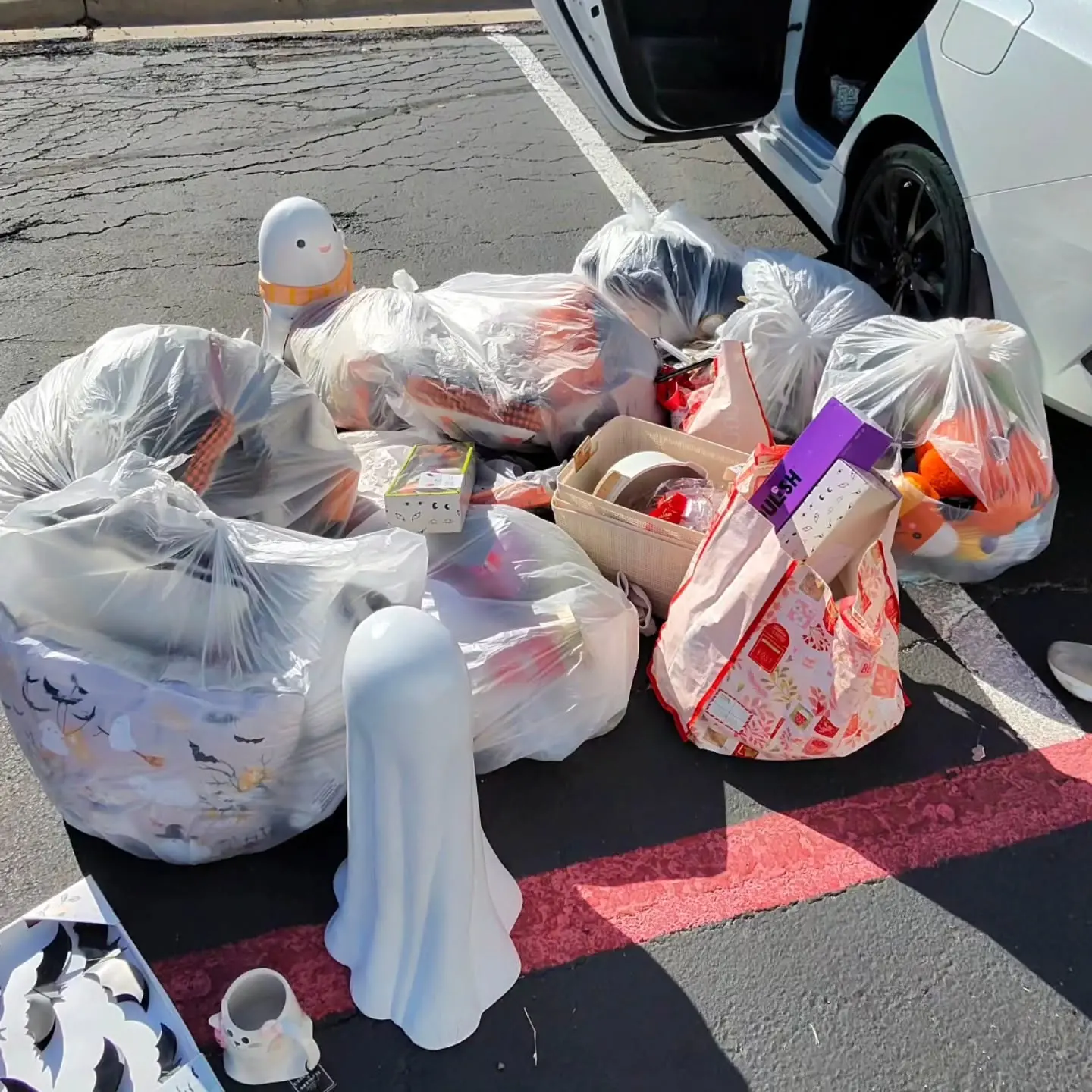 dumpsterdivingmama Instagram