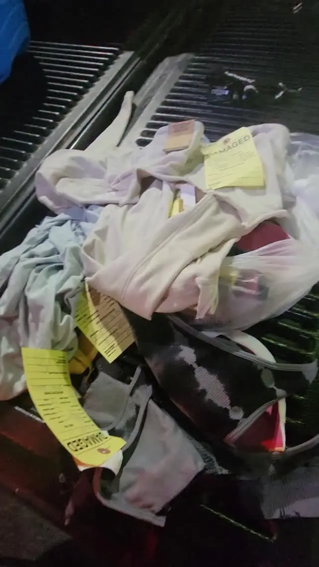 dumpsterdivingmama Instagram