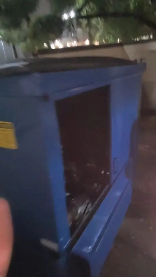 dumpsterdivingmama Instagram