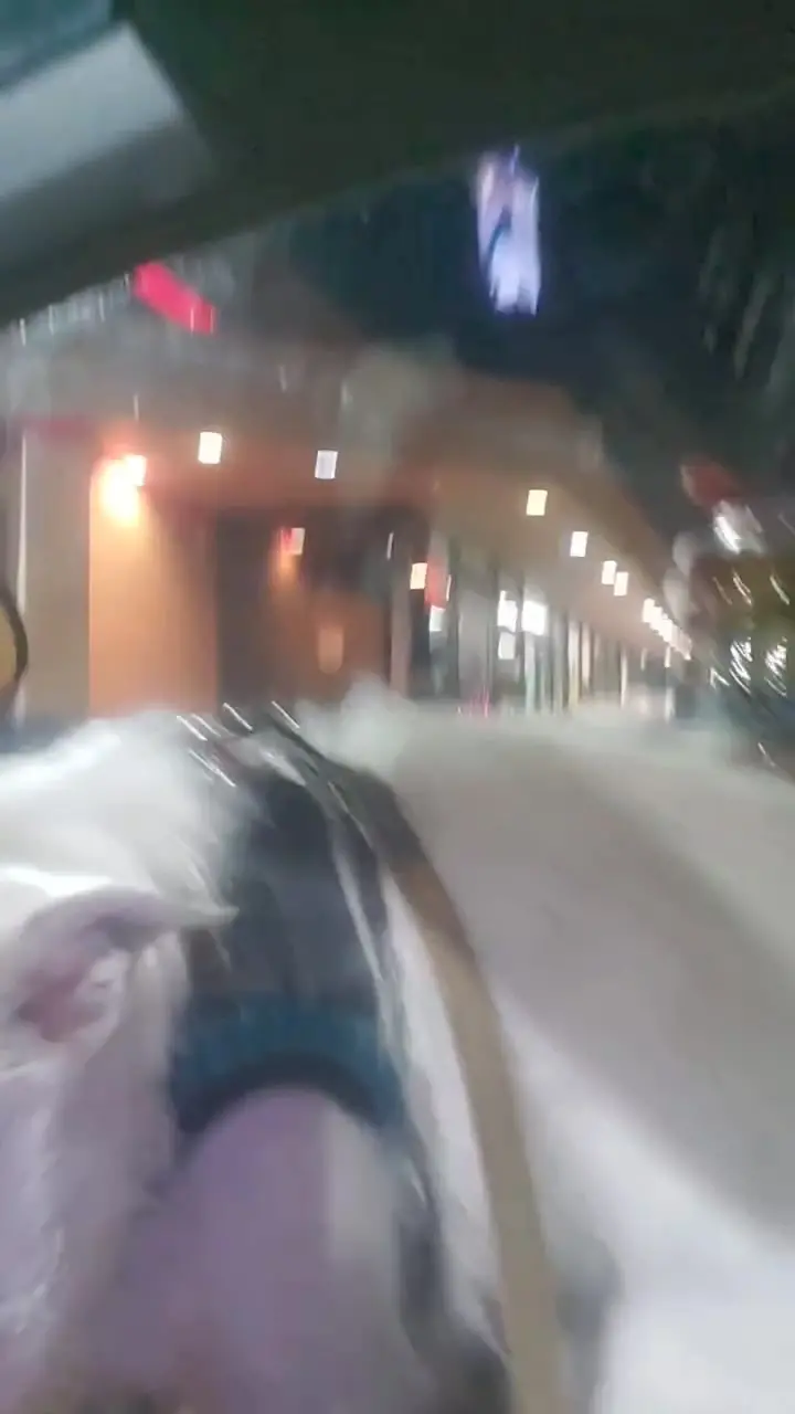 Carrie Bonnette Instagram