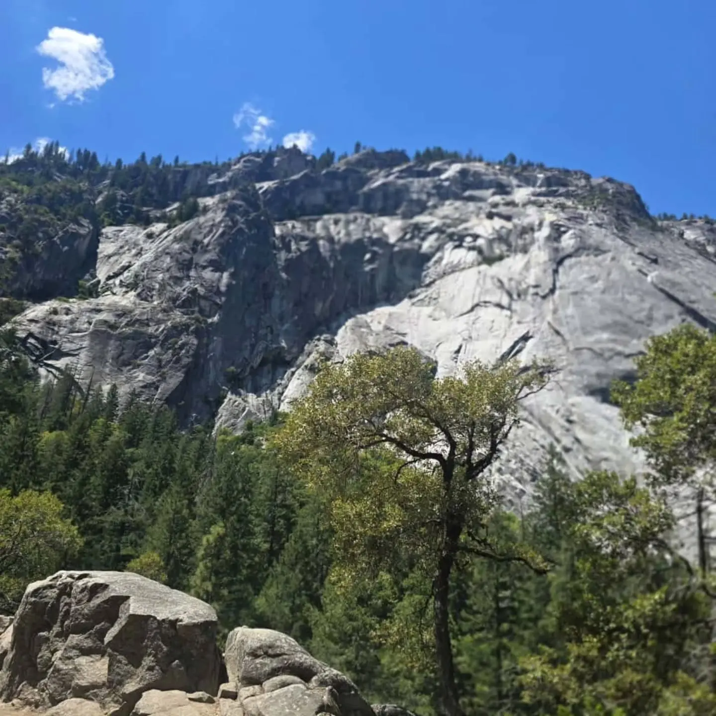 Farhod cigarchi Instagram