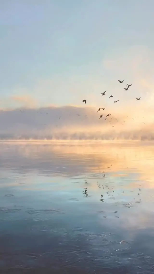 Black gypsy Instagram