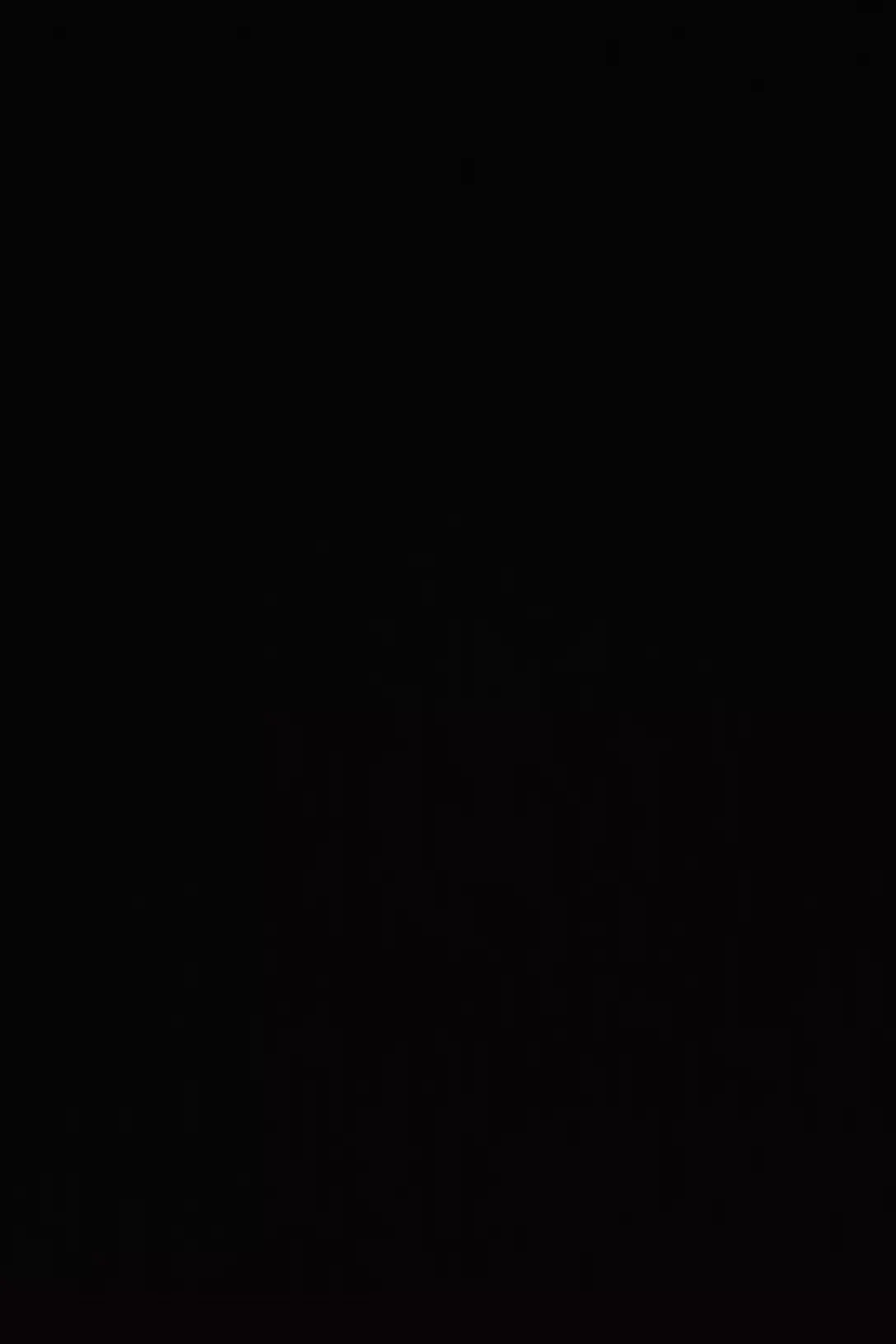 Kashin arnold Instagram