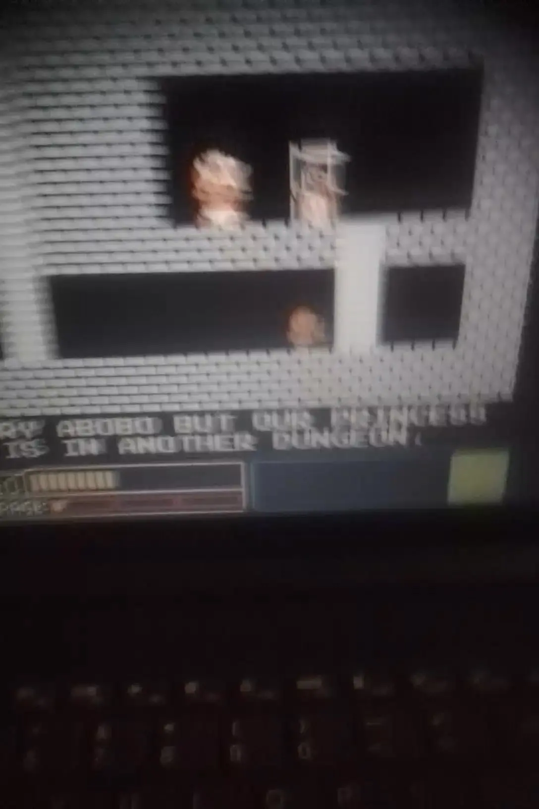 Kashin arnold Instagram