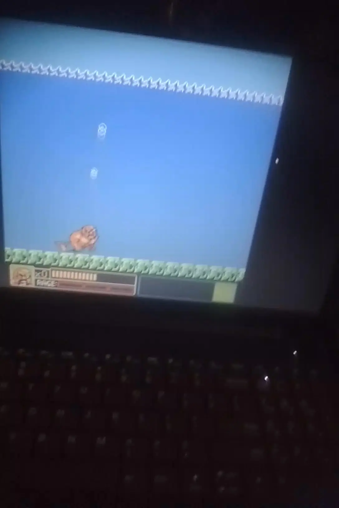 Kashin arnold Instagram