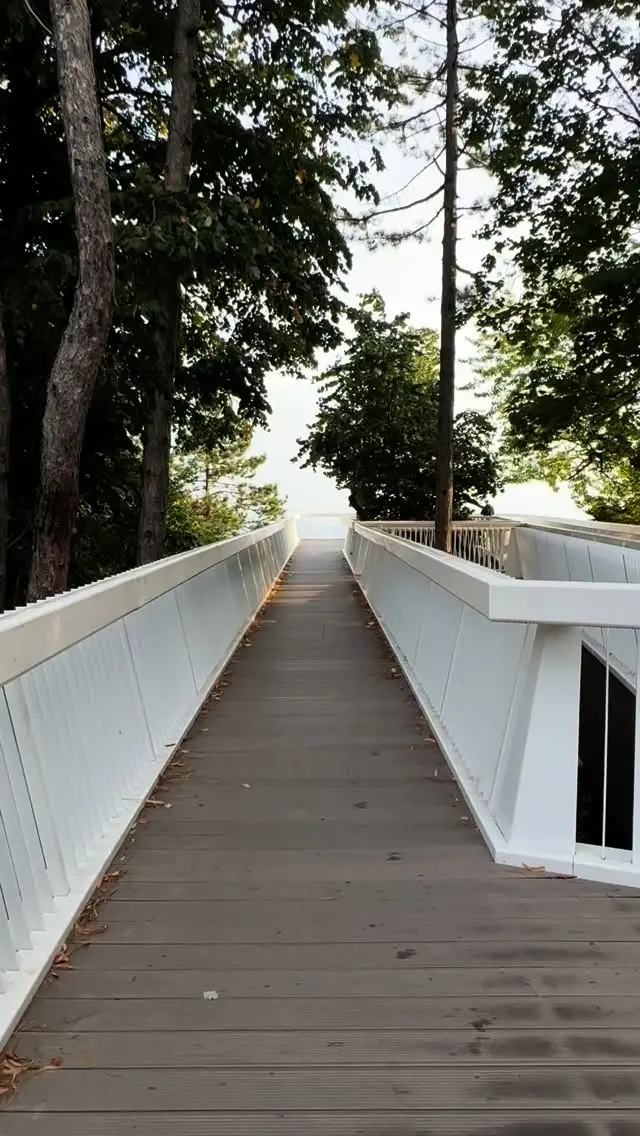 Aleksandar Žeželj Instagram