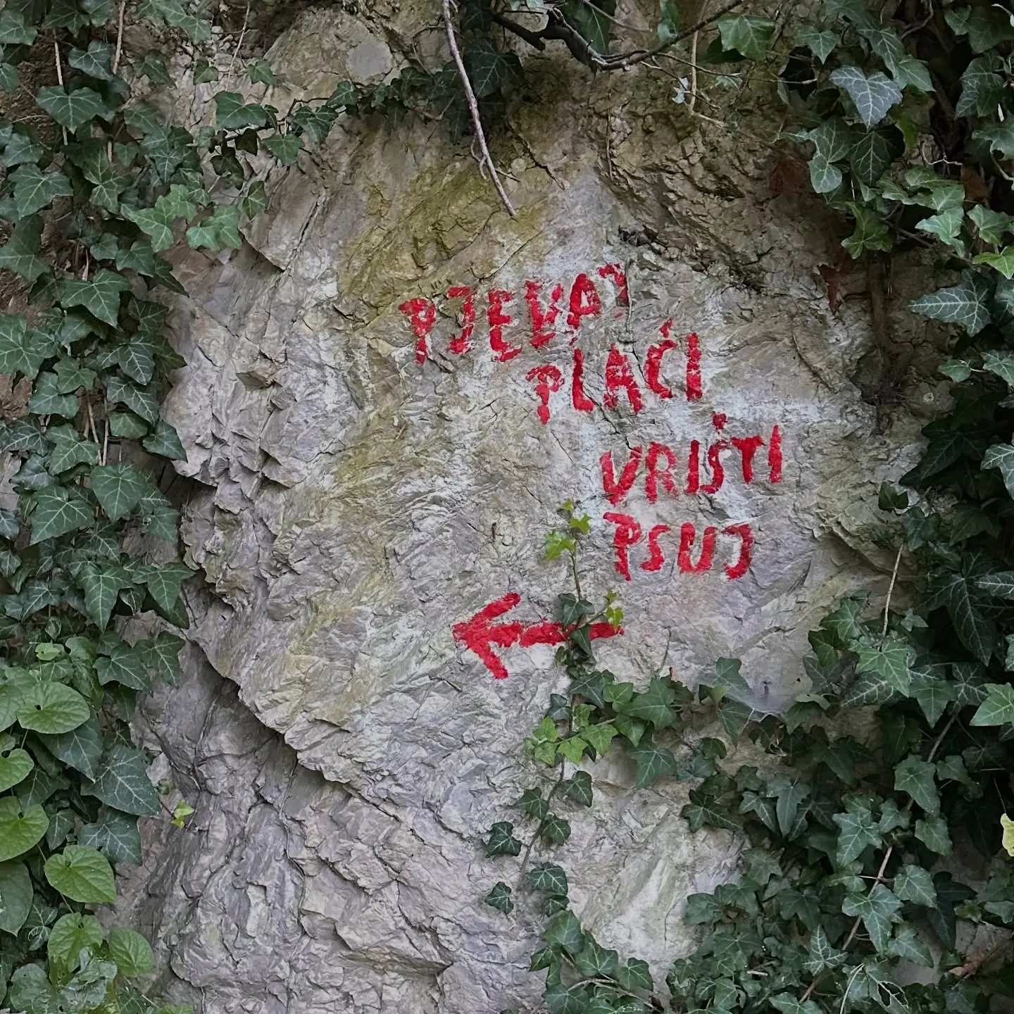 Aleksandar Žeželj Instagram