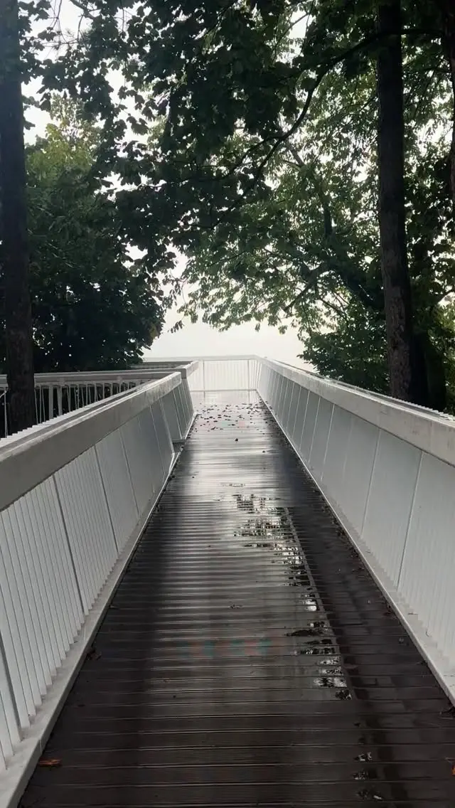 Aleksandar Žeželj Instagram