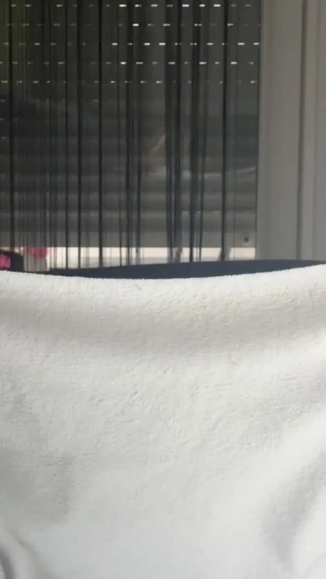 Aleksandar Žeželj Instagram