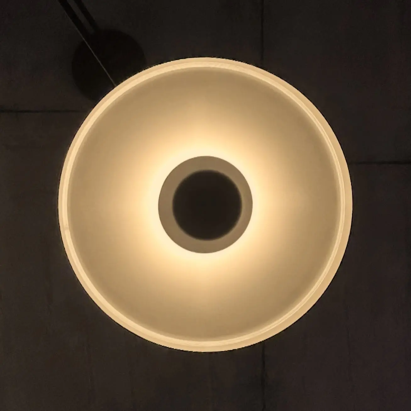 Aleksandar Žeželj Instagram