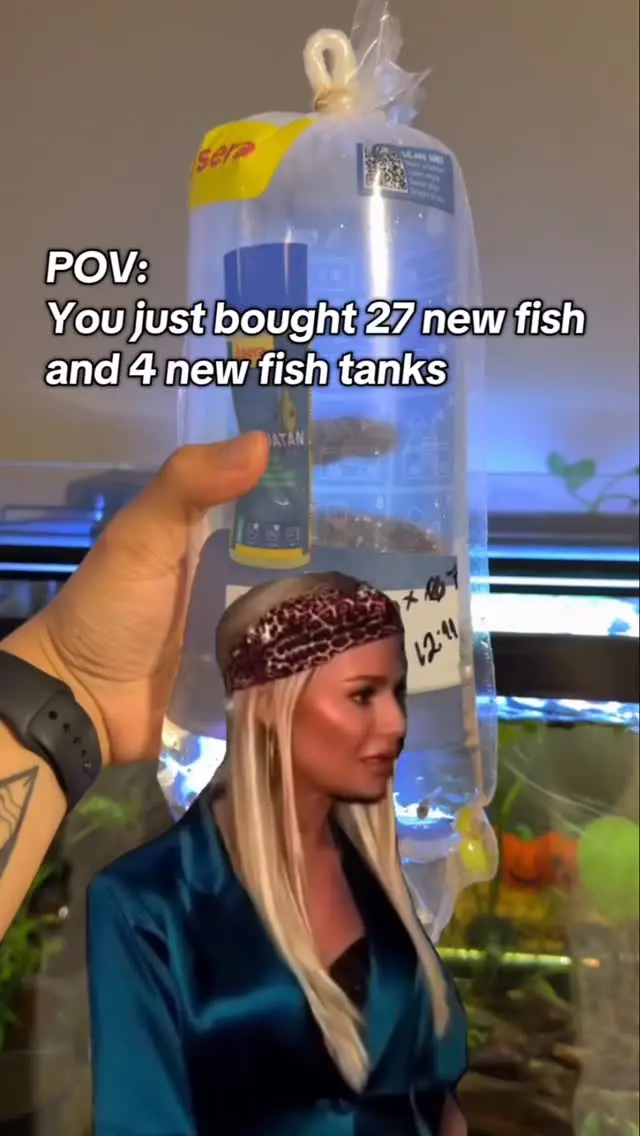 Silas 2729 Instagram