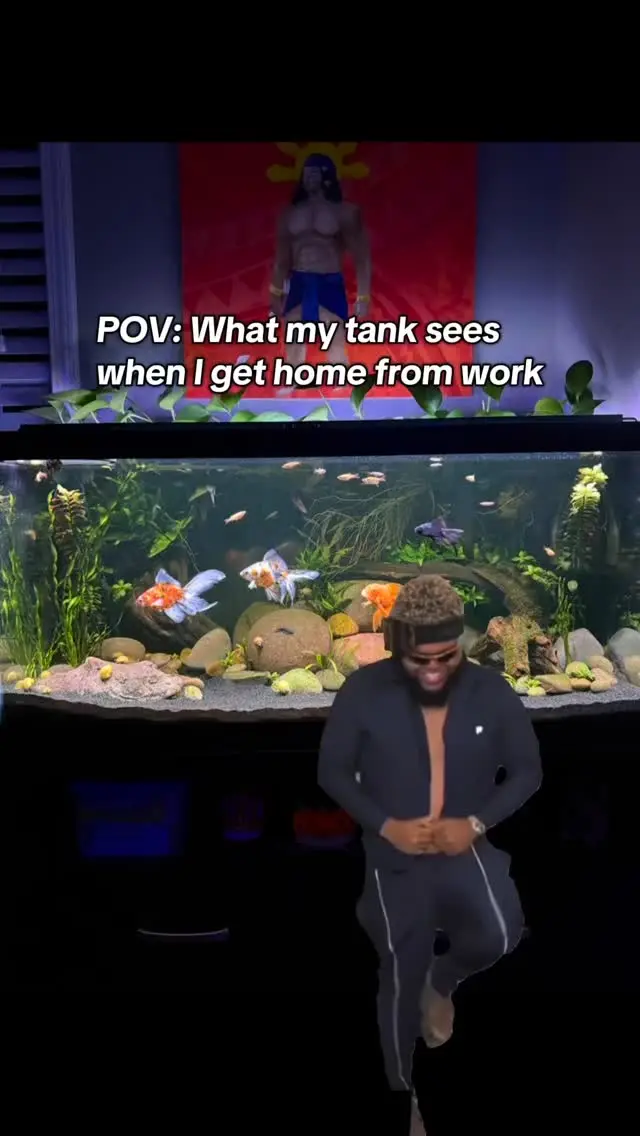 Silas 2729 Instagram