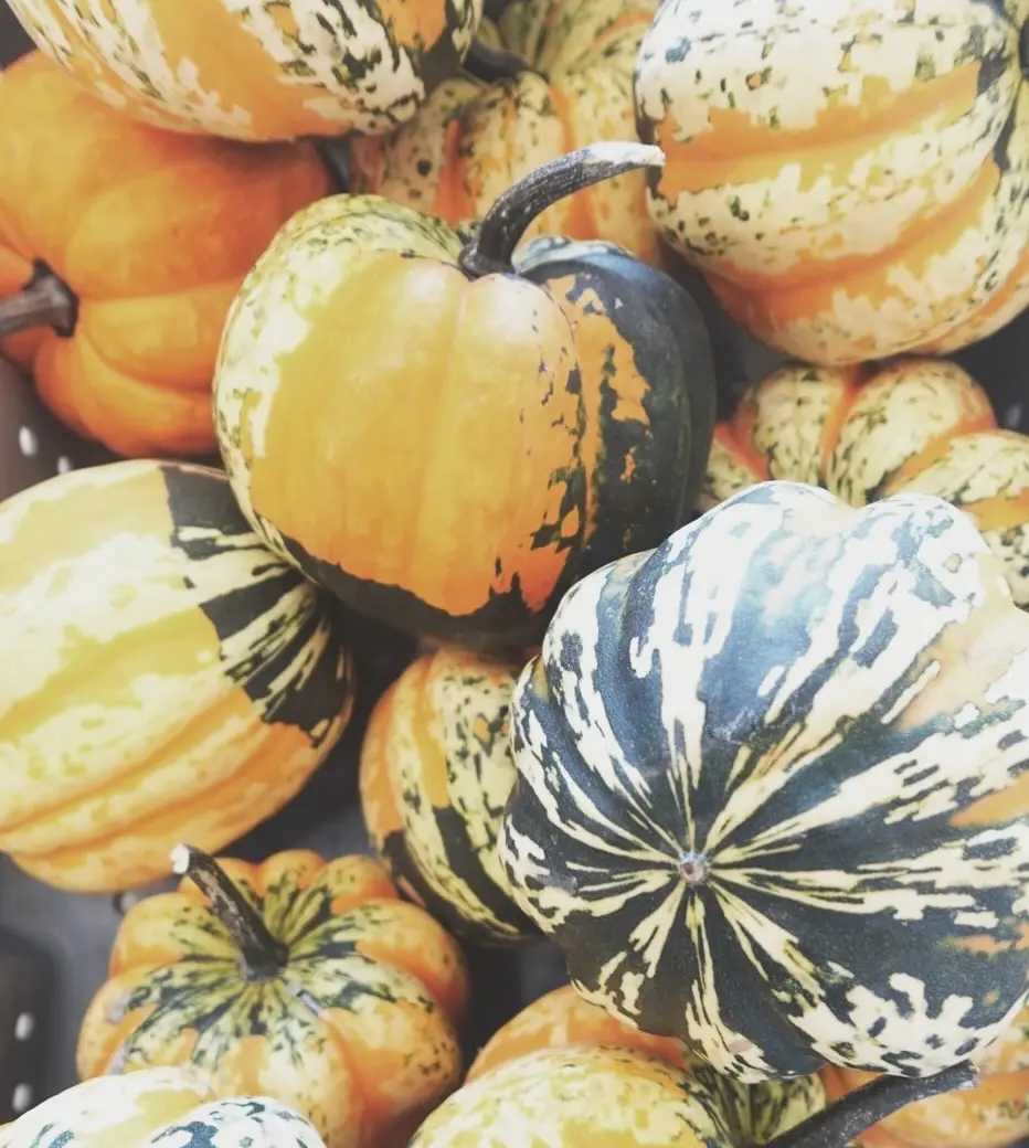 Kiyana Lowney Instagram