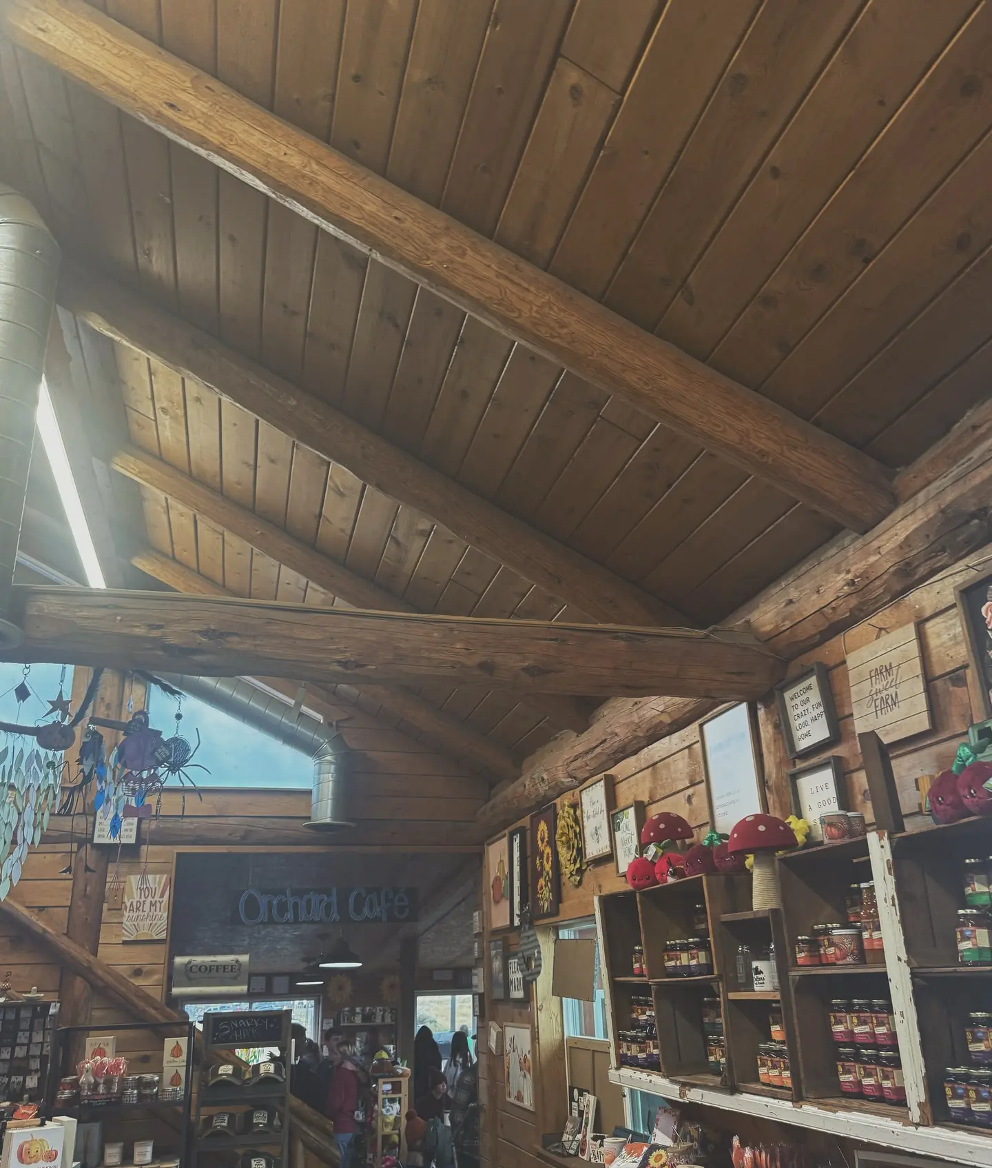 Kiyana Lowney Instagram