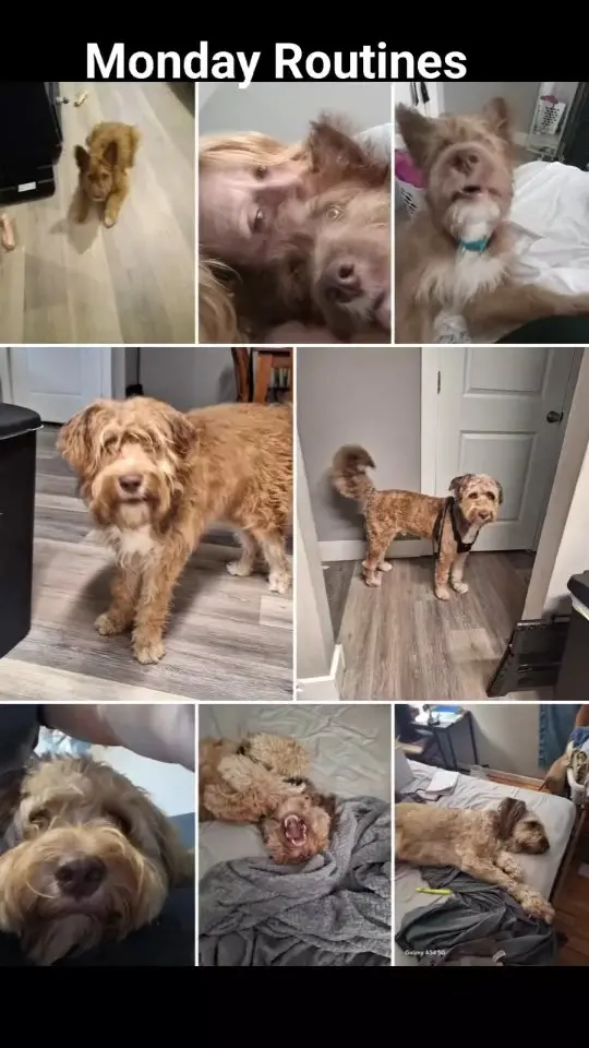 KayRaysWay Instagram