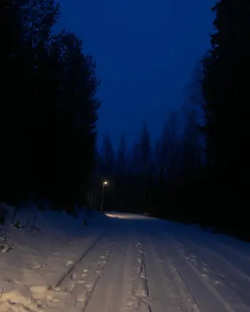 Sophie Galwas Instagram