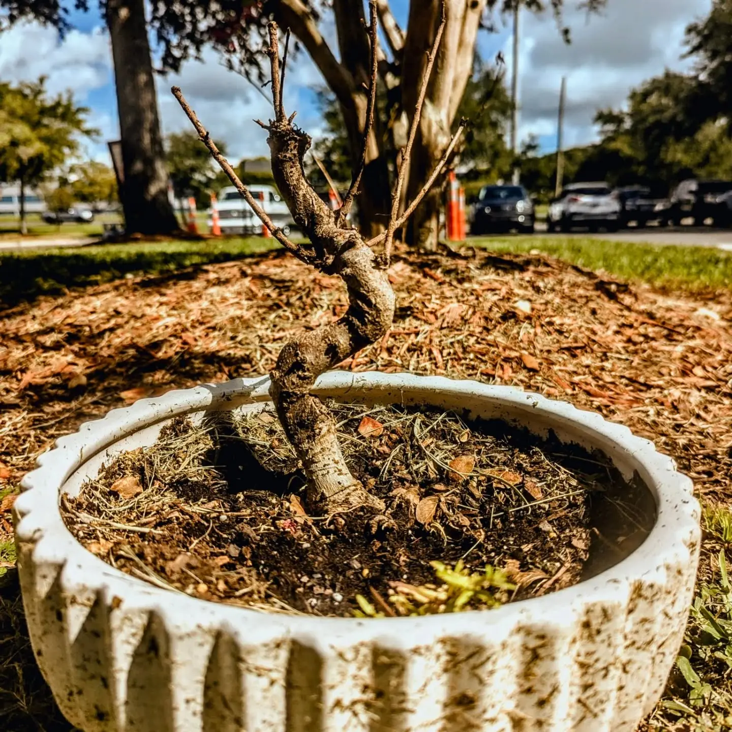 Humberto Suarez Instagram