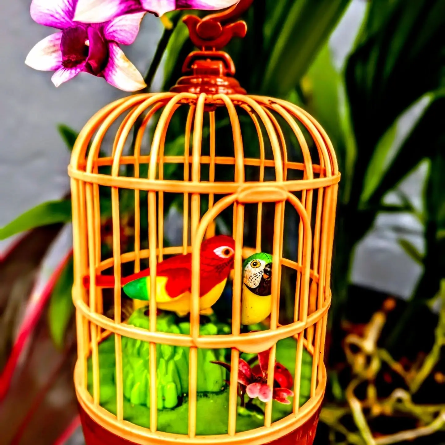 Humberto Suarez Instagram