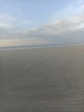 Joseph Calvo Instagram