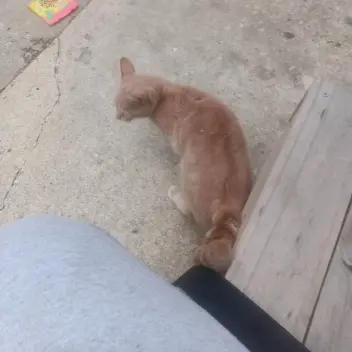 Joseph Calvo Instagram