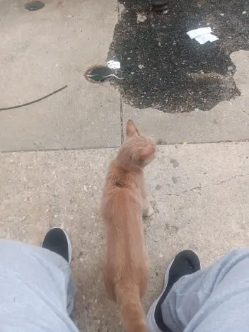 Joseph Calvo Instagram