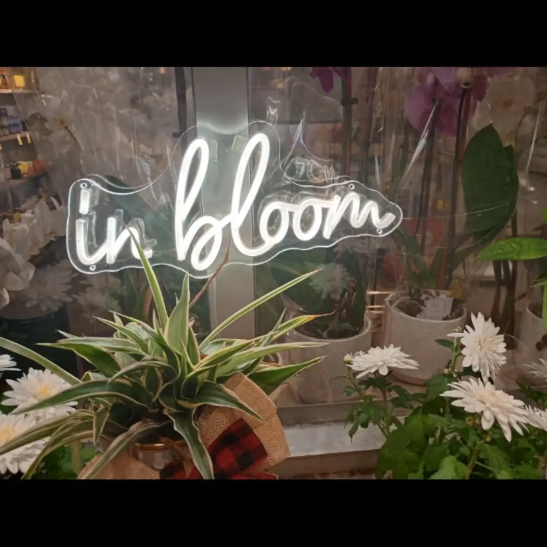 Katarzyna Piech Instagram