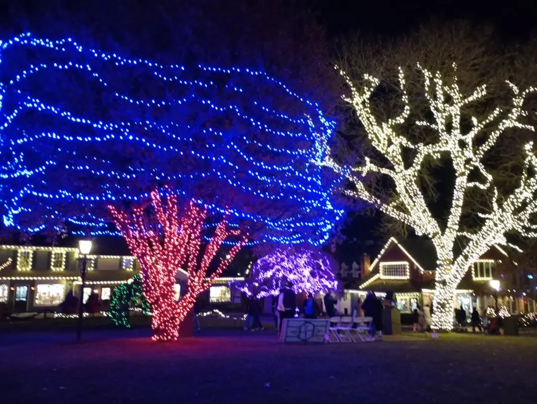 Katarzyna Piech Instagram