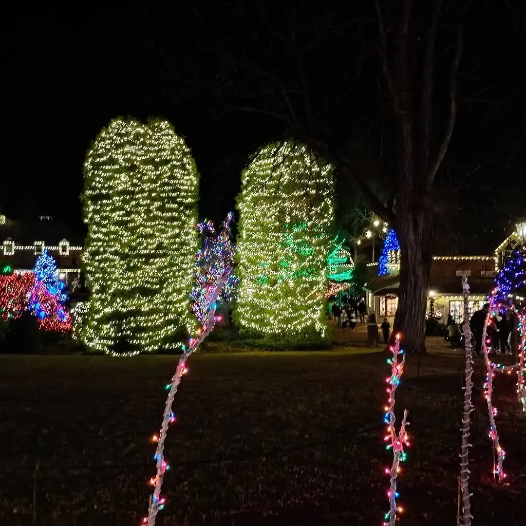 Katarzyna Piech Instagram