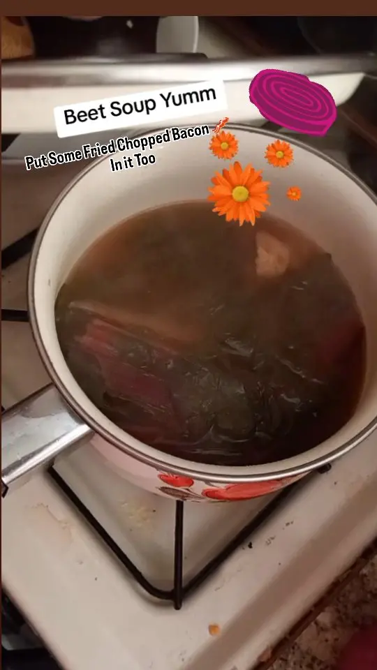 Katarzyna Piech Instagram