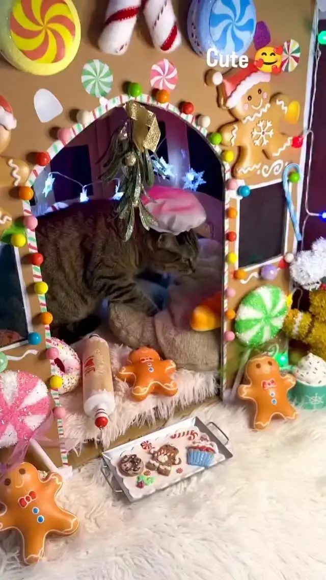 Katarzyna Piech Instagram