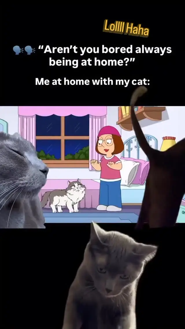 Katarzyna Piech Instagram