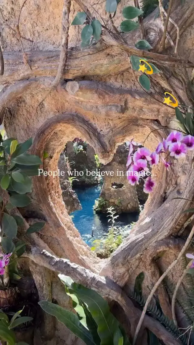 Katarzyna Piech Instagram